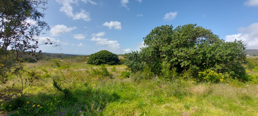 Commercial Property for Sale in Albertinia Western Cape